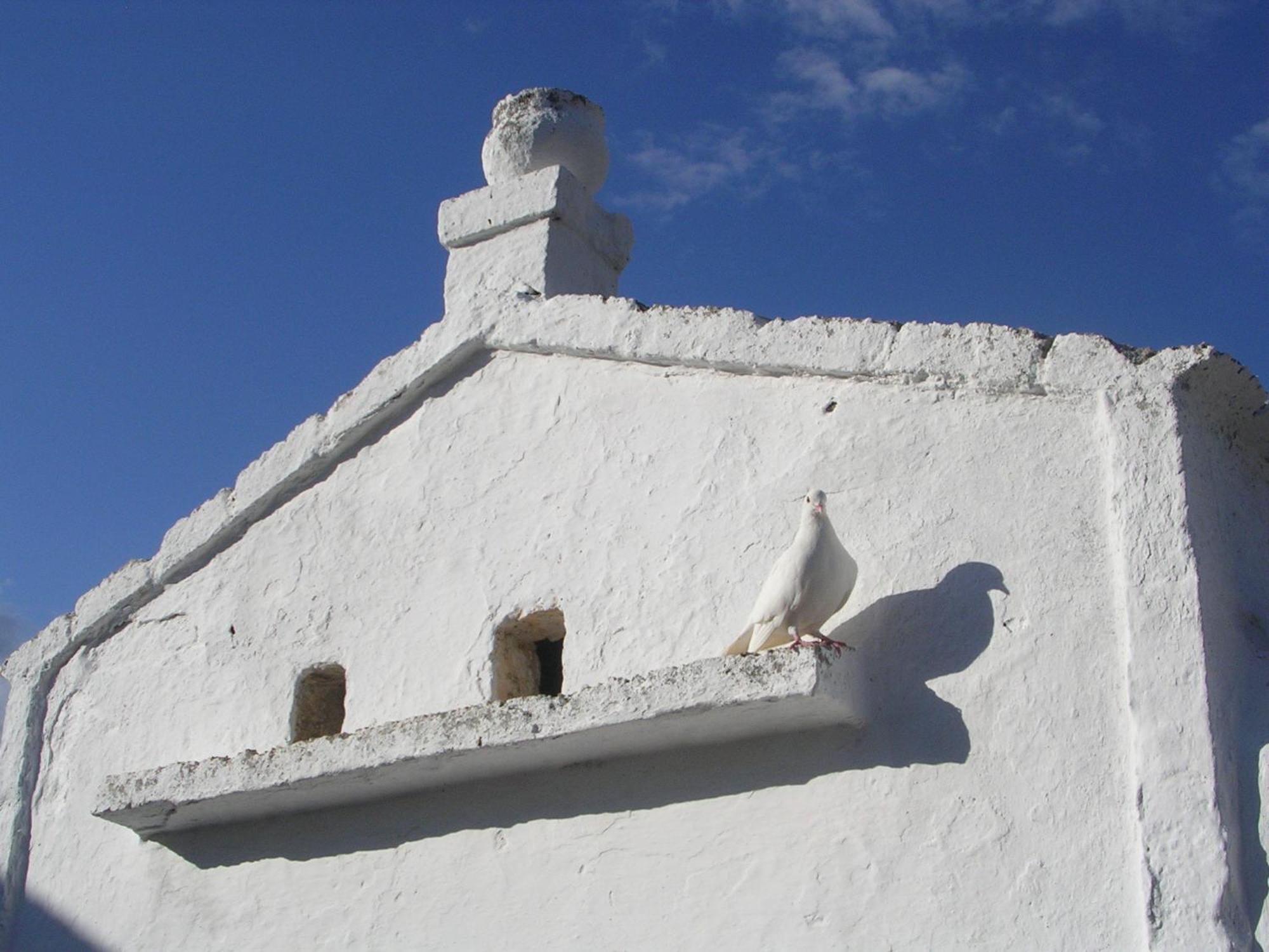 Masseria Purgatorio Fasano Kültér fotó