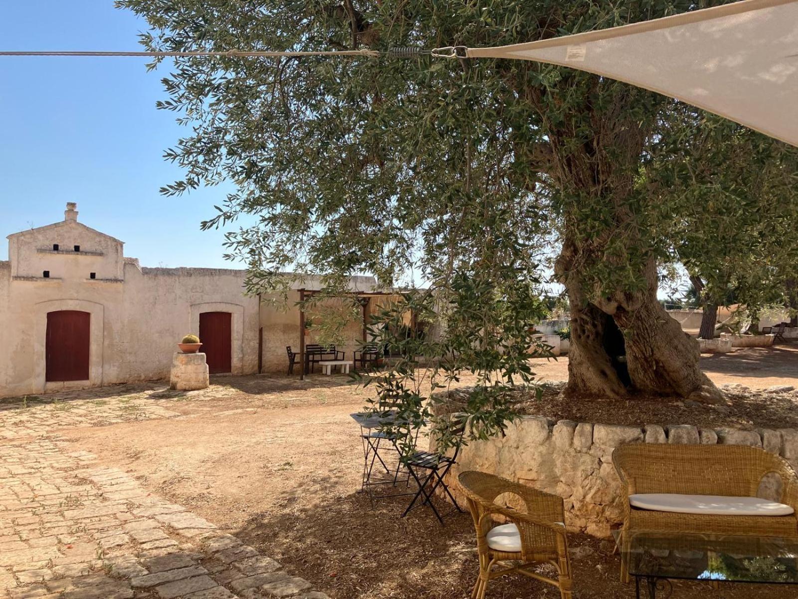 Masseria Purgatorio Fasano Kültér fotó
