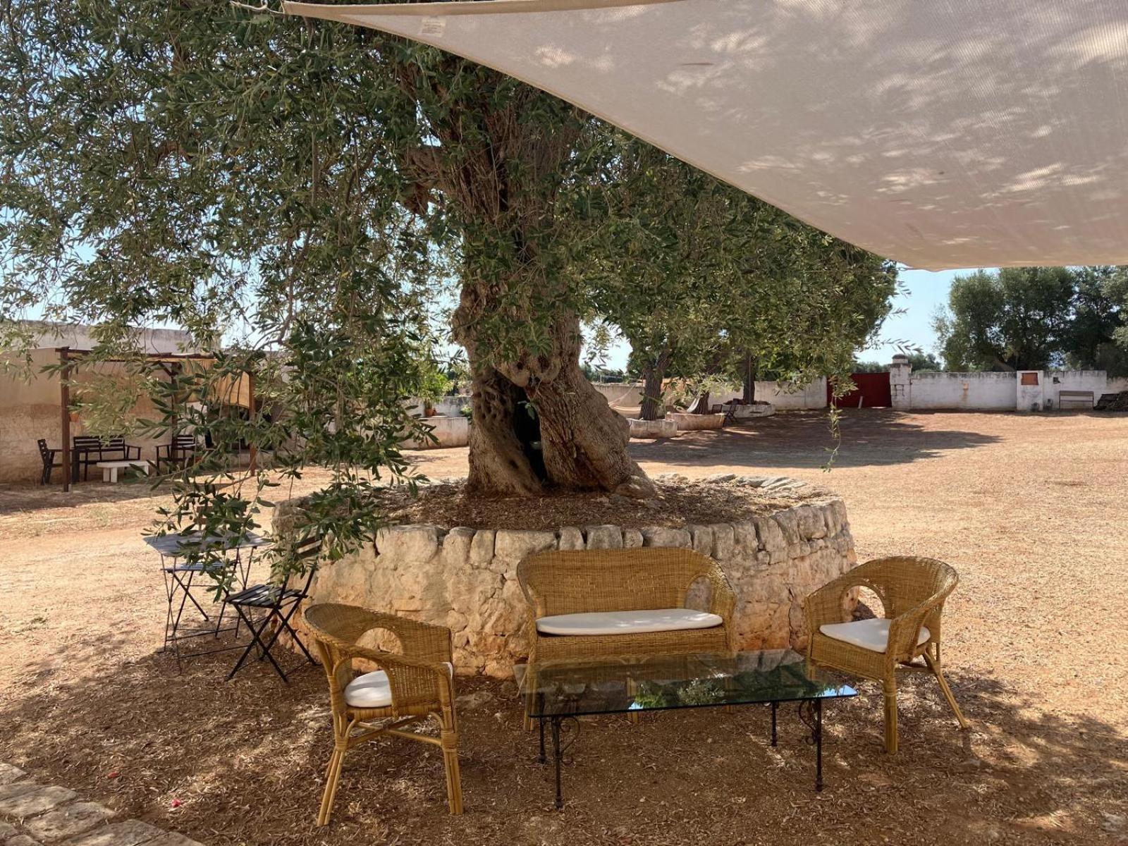 Masseria Purgatorio Fasano Kültér fotó