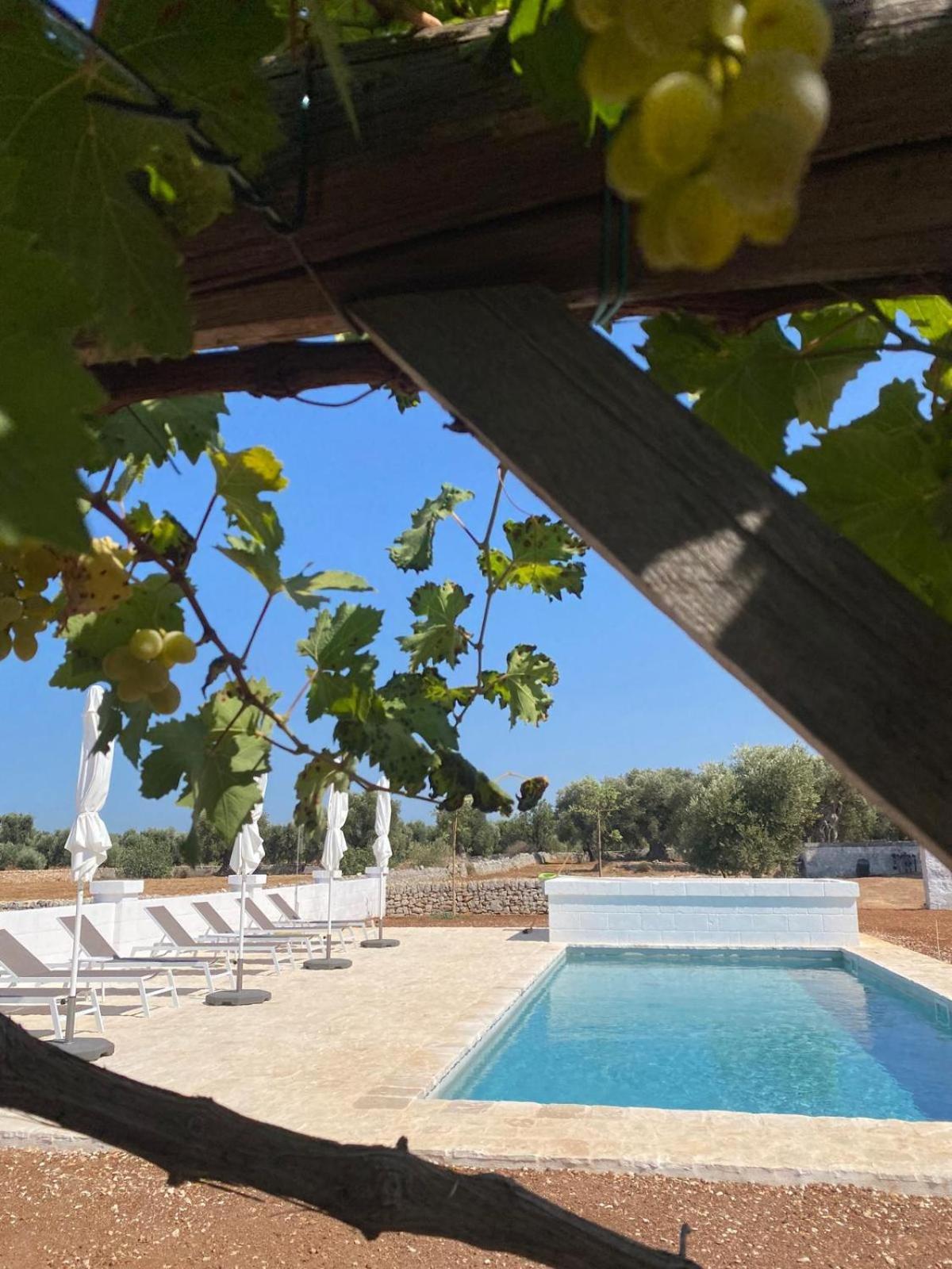 Masseria Purgatorio Fasano Kültér fotó