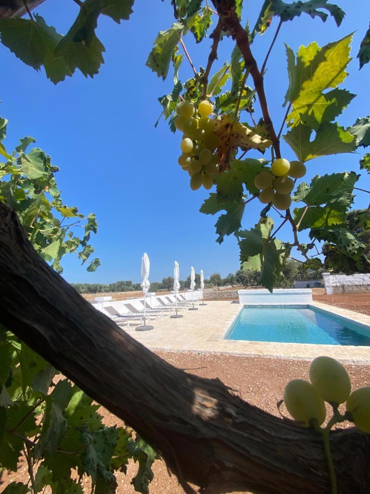 Masseria Purgatorio Fasano Kültér fotó